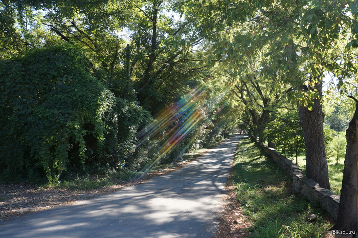 ������ �������