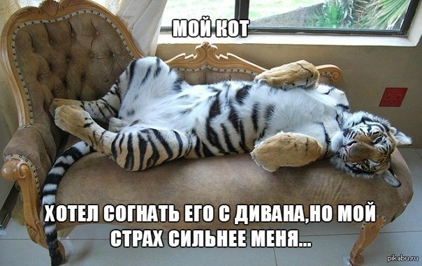 что я вижу каждое утро...