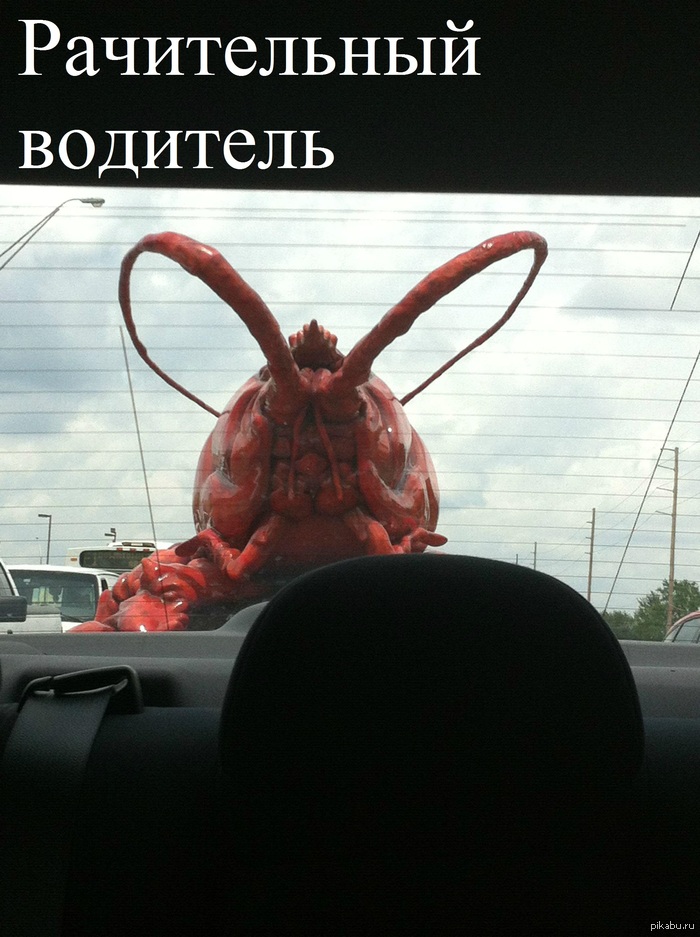 ������������ �� �����