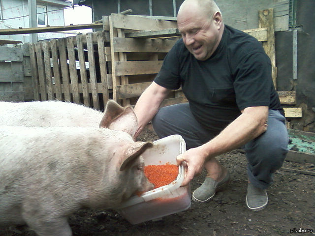 ������! �� ���������� ������� �����! ������� ���� ����������� ���������