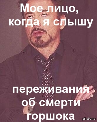 Как же надоели с своим горшком!