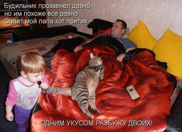 �� ������� ��...