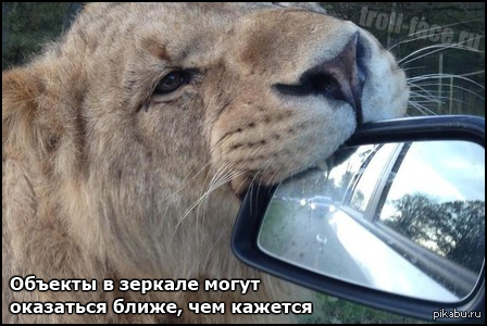 �������� ����� !