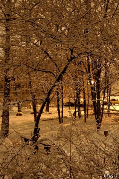 ��� �� ����� ����� ������...