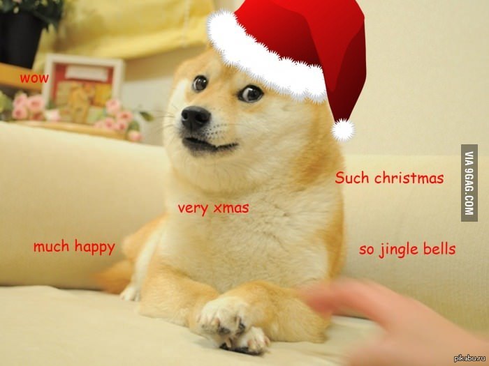 Very present. Новогодний Doge. Доги в новогодней шапке. Доге новый год. Doge в шапке.