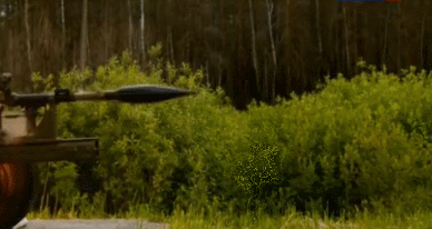 https://cs.pikabu.ru/post_img/2013/12/02/9/1385995625_1075771022.gif