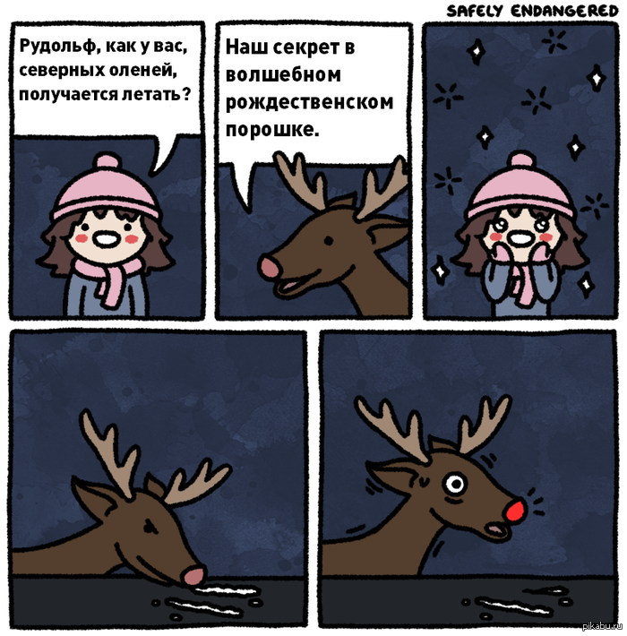 ��� ������ ����� �����-������.