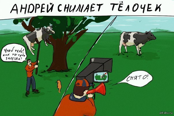 Снял телку. Пойдем телок снимем приколы. Убрать приколы. Снимать телочек буквально корова.