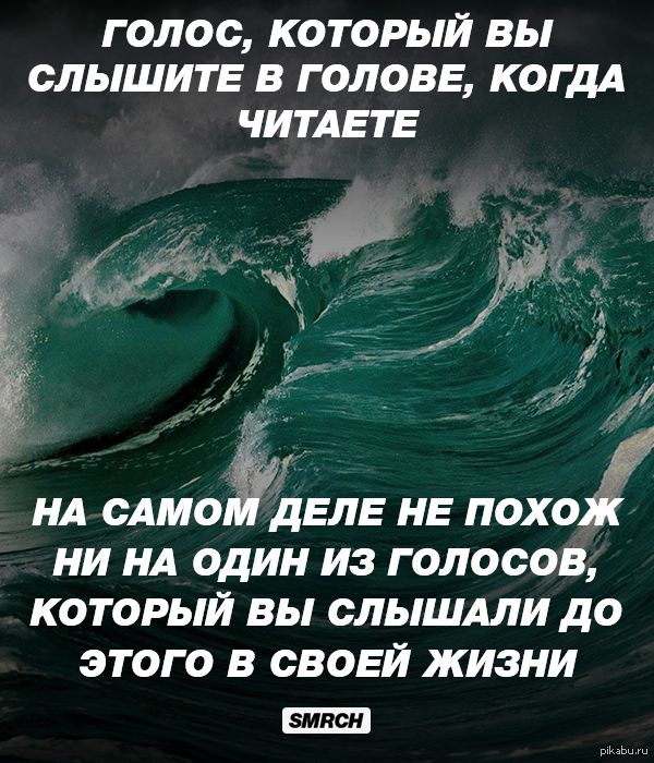 Голоса в голове помогите. Голоса в голове юмор. Стих про голоса в голове. Вы слышите голоса в голове. Голоса в голове говорят.