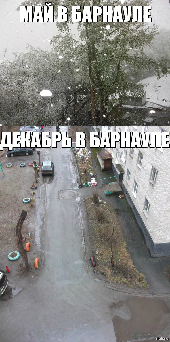 Барнаул прикольные картинки