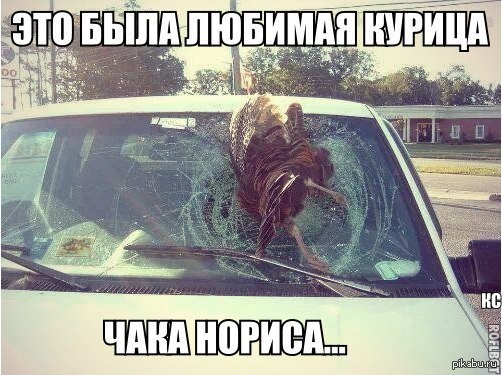 Курица) | Пикабу