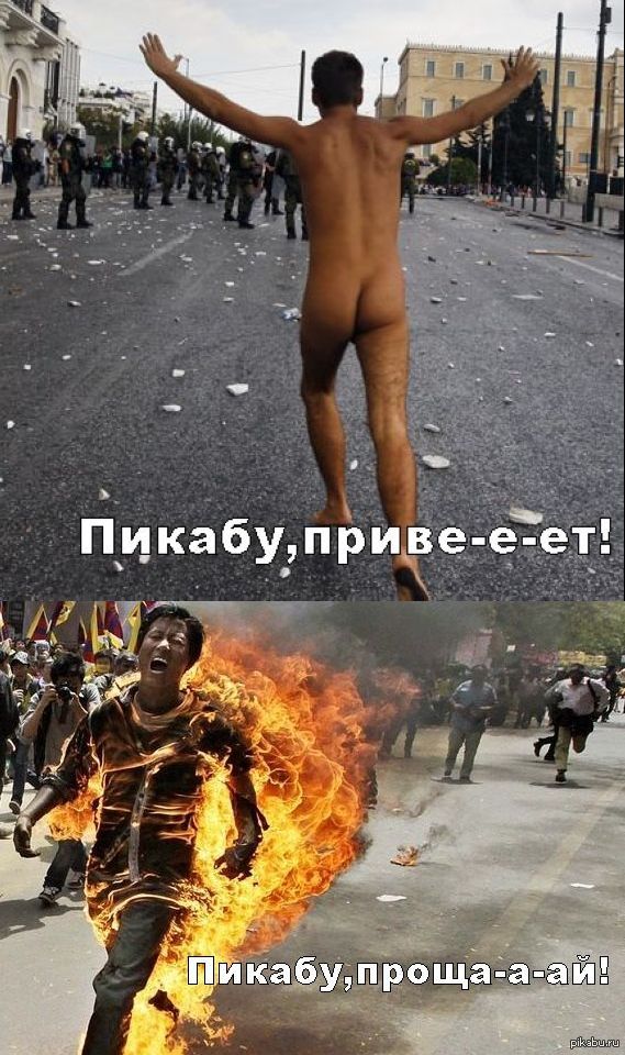 Пикабу. Выживают не все.