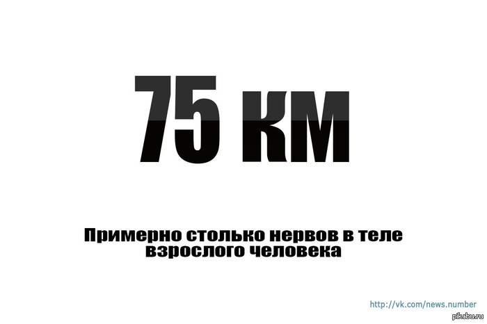 �� ����� ��...)