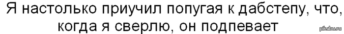 Попугай