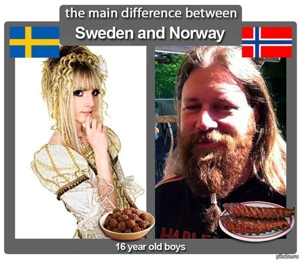 The main difference between. Норвежский прикол. Шведы мемы. Мемы про норвежцев. Норвежец Мем.