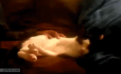 ! , ! 