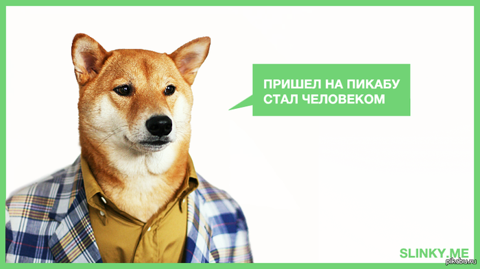 ������ �� ������. ���� ��������� - �� ������� Slinky