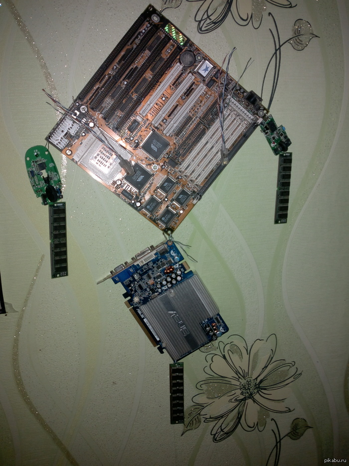 ����� ���� ���������