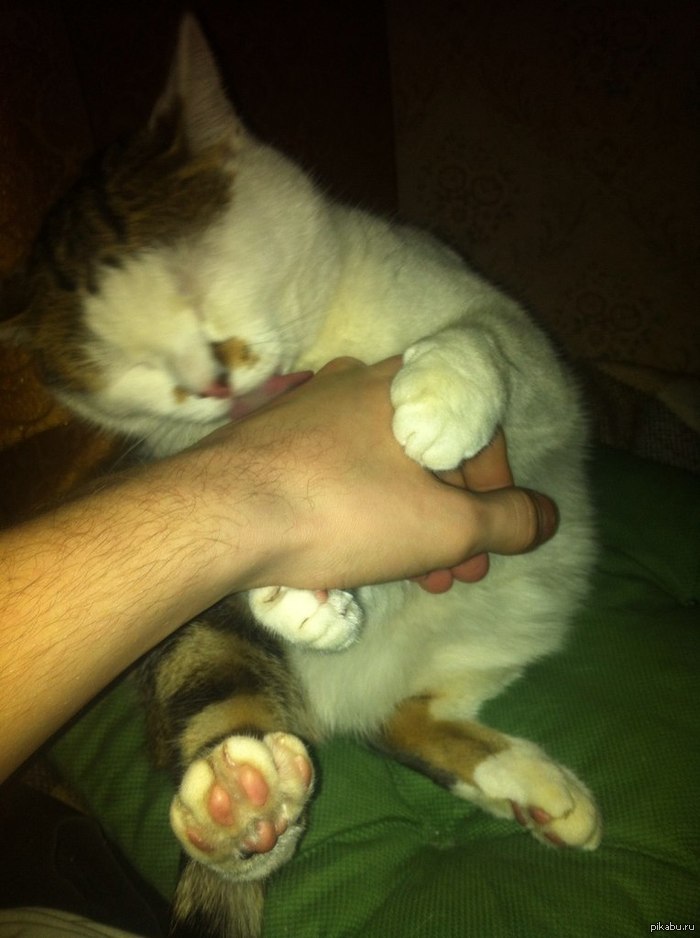 Удачный момент , на свой, старенький ,яфон4.