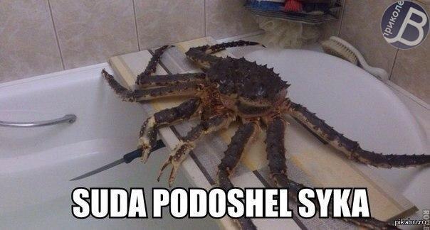 �� �� ��