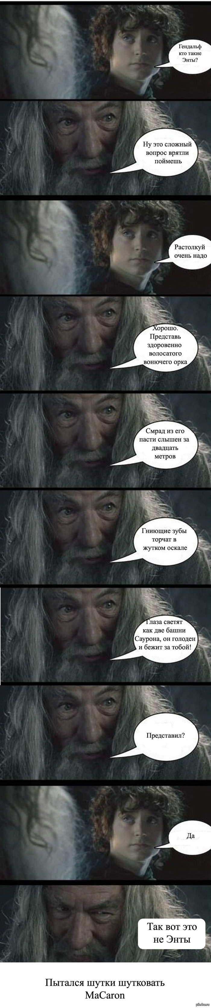 �������� �������