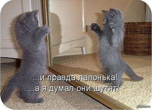 Подхожу к зеркалу из далека.......красавица!!!Подхожу ближе....еее мае ...