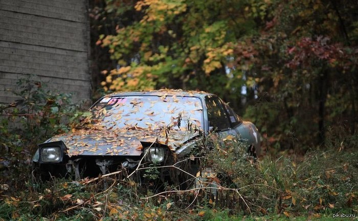 ���� ��� � �� ����� �����...