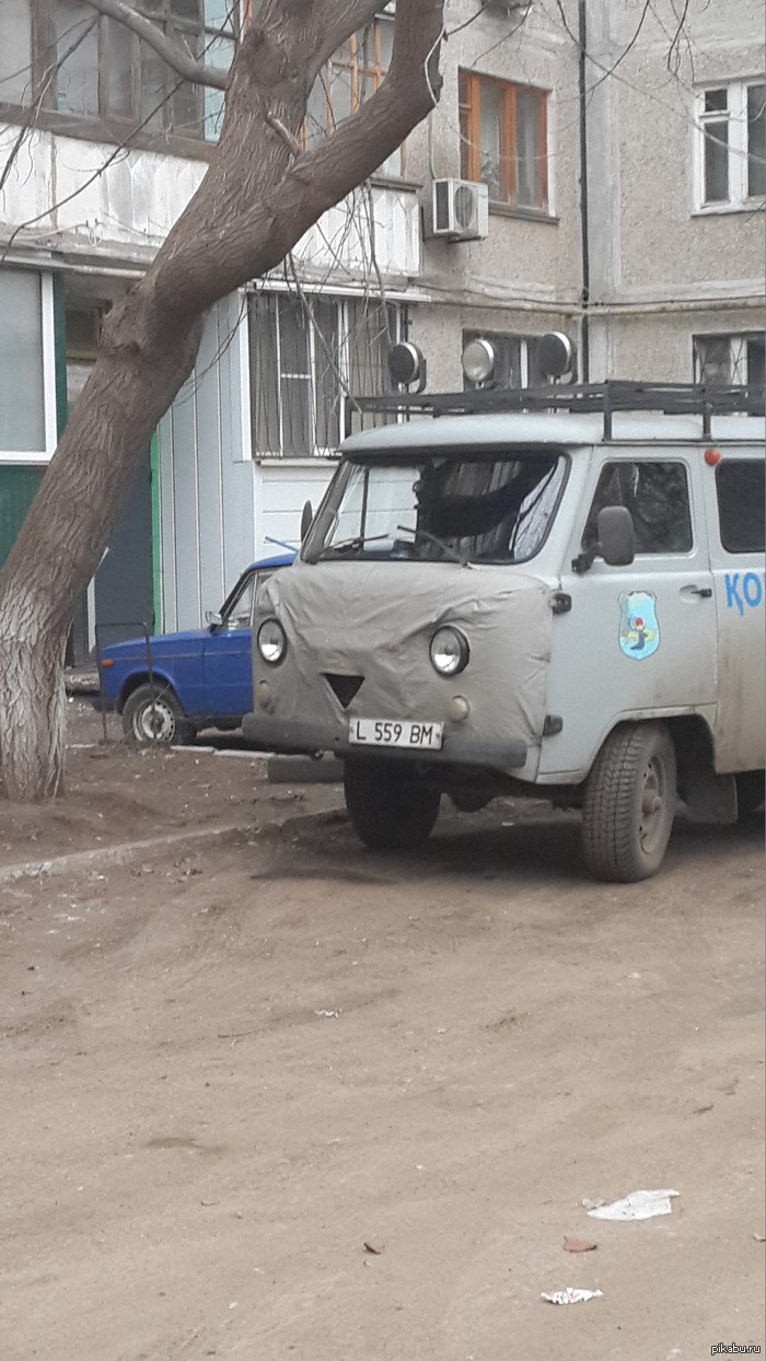 единственный, кто рад меня видеть каждый день!