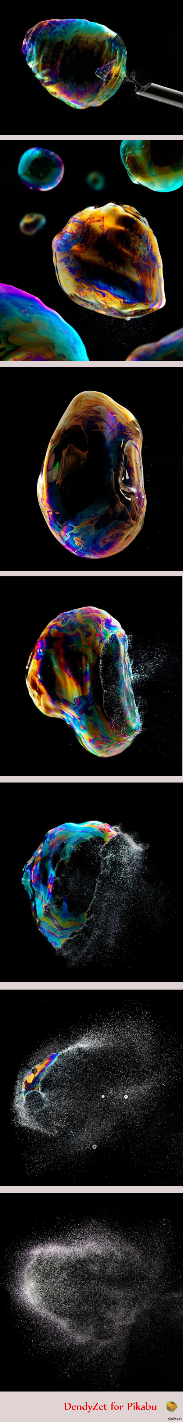 Soap bubble life - Microscope, A life, Longpost, Don't understand that, Bubble