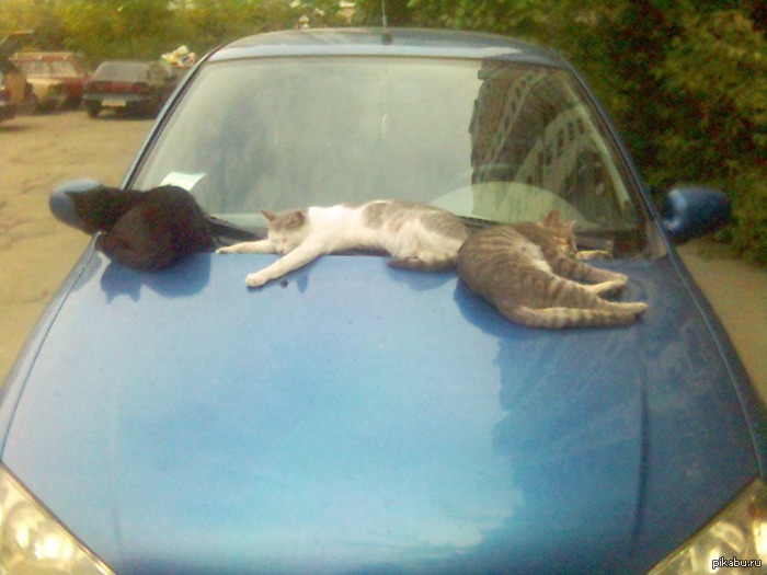 ������ ����� �� ����=))