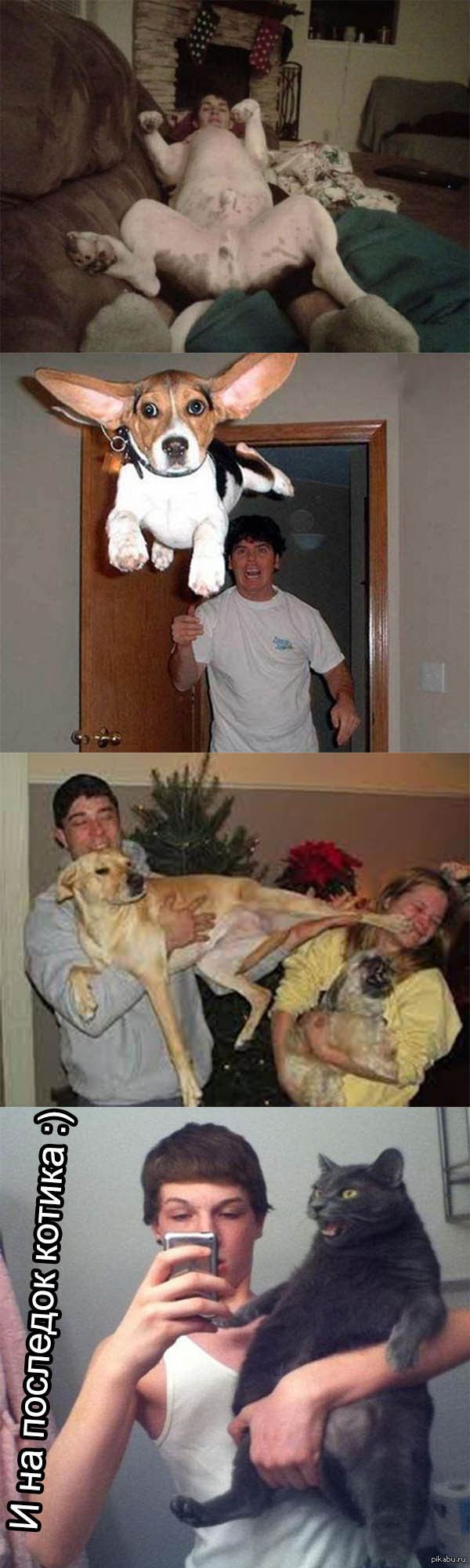 �������� ��������� �����....