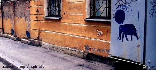�� ����� ������ ������...street art �� ������