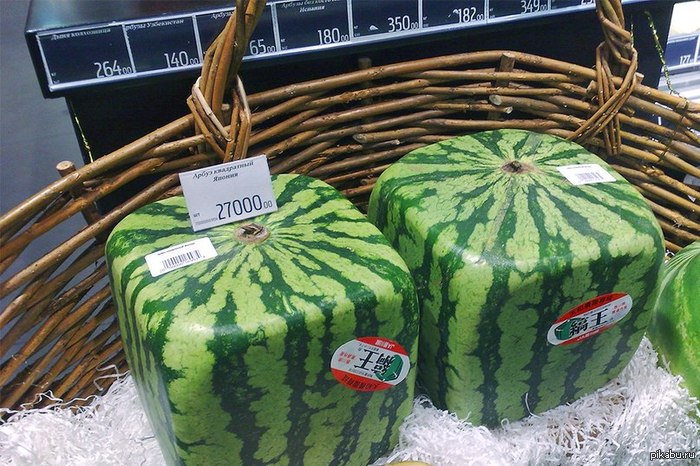арбуз за 27 тысяч рублей