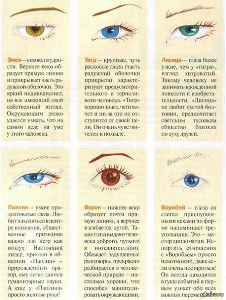 Кантопластика глаз