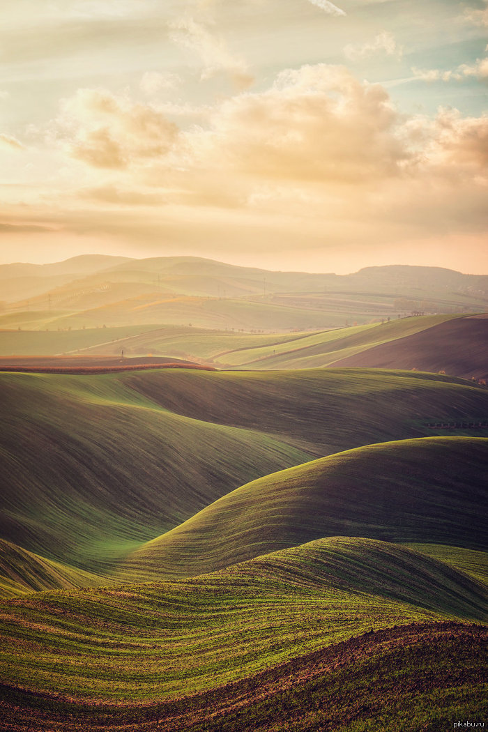 grassy waves - beauty, Landscape