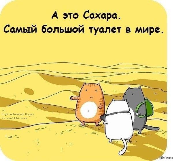 Такие они, властелины мира)