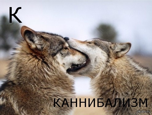 Каннибализм | Пикабу