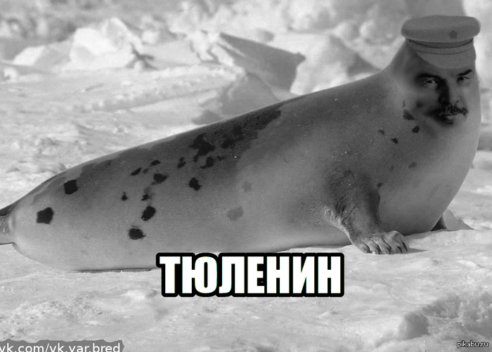    ... !