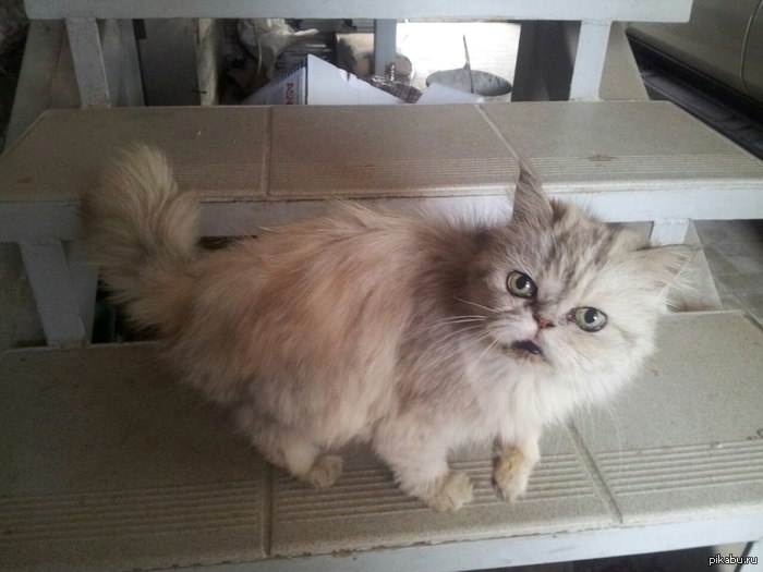 ��� ��� ����� ���?