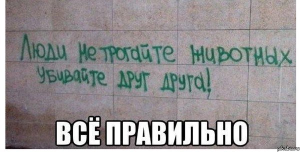 Добра всем | Пикабу
