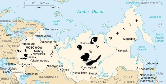 Карта России глазами Doge