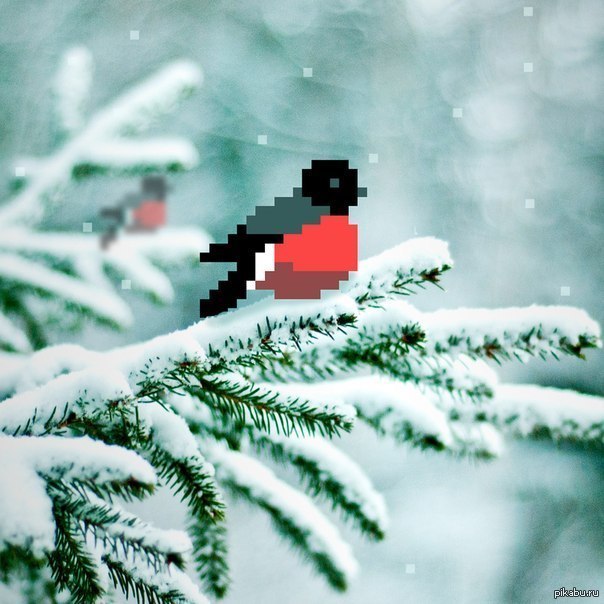 ���� ����� �����!