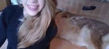 �� �������� �����