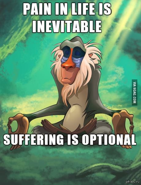 Боль в жизни неизбежна, страдание - на выбор.