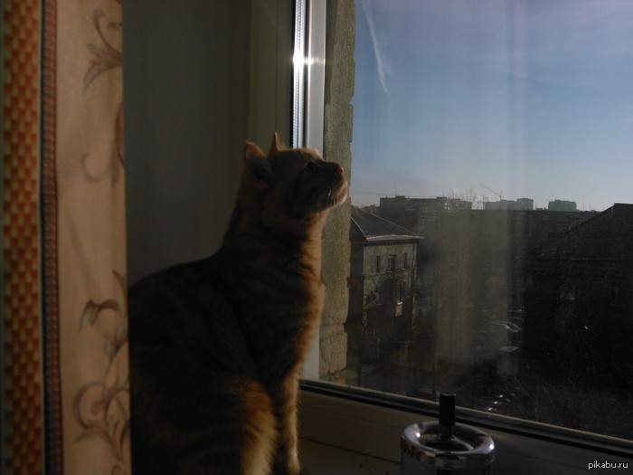 ���� ���