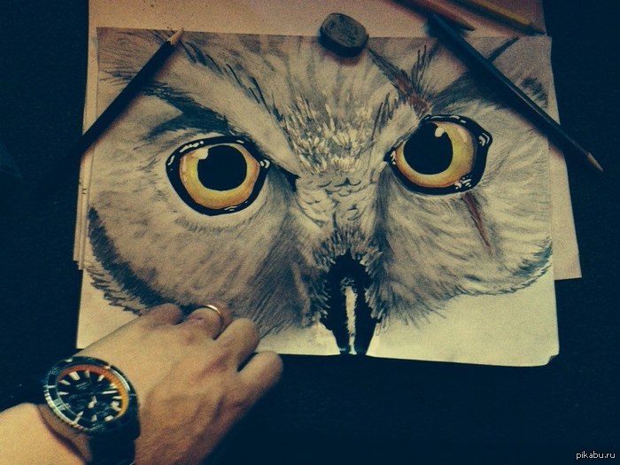 ���� ������ ������)