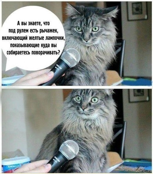 Водители, уважайте друг друга! Особенно зимой,когда оттормозиться горащздо тяжелее.