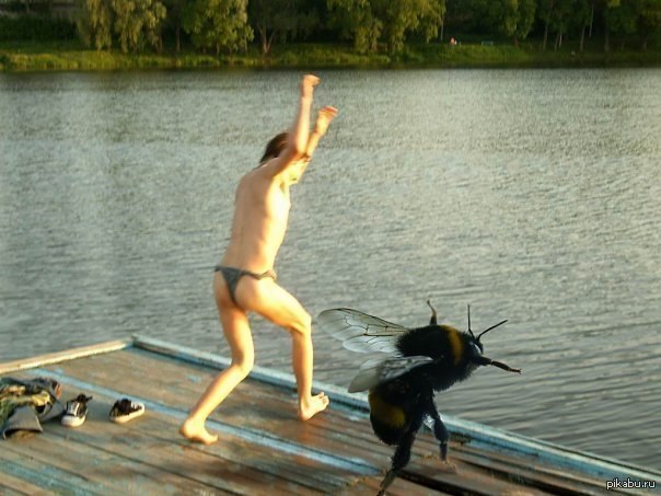 ������� �������. ����� ����� ��������� ����� � ����� �� �����.