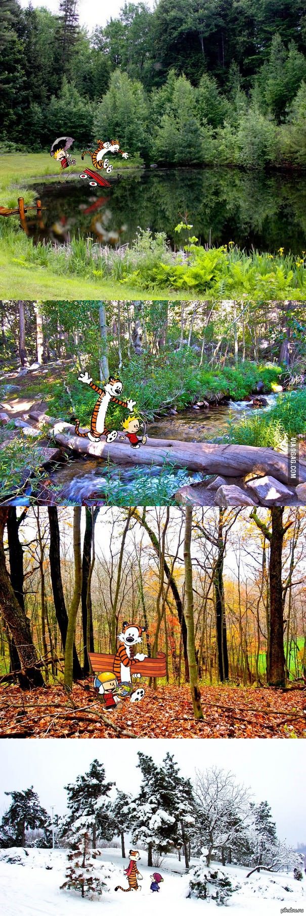 "Я поместил Кельвина и Хобса в живые пейзажи"