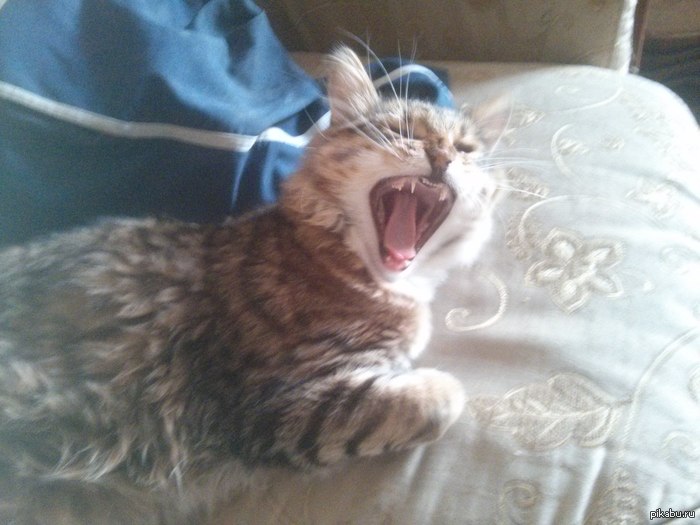 �� �� ��� �� ����, �� �� ������...